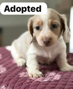 screenshot-52 Sky (Female)